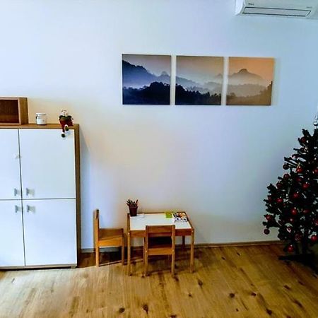 Zoe Apartment Maribor Dış mekan fotoğraf